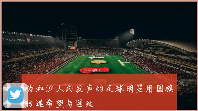 为加沙人民发声的足球明星用国旗传递希望与团结
